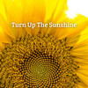 Turn Up The Sunshine - Ibanez