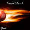 Peace Lost in the Wind - Youdie