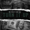Turn It Up (Explicit) - Big 2tha&Crip Mac