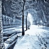 夜雪 - 寞笙