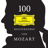 Mozart: Flute Concerto No. 1 in G Major, K. 313 - I. Allegro maestoso - Cadenza and Lead-in: Susan Palma - Susan Palma&Orpheus Chamber Orchestra