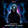 Never Got It Know - Dub Pepper