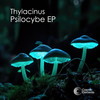 Farinacea (Original Mix) - Thylacinus