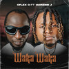 Waka Waka - Cflex.O&Wonder J