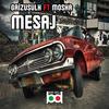 Mesaj (feat. Mosha) (Explicit) - GrizuSulh&Mosha