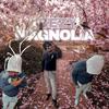 MAGNOLIA - Bezy