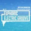 Euphoric Electric Groove - Top Flow
