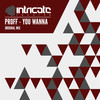 You Wanna - Proff