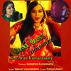 Pala Pala Pappalika (feat. Vaikom Vijayalakshmi) - Arun Kumarasamy&Vaikom Vijayalakshmi