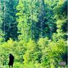 Cold Mourning (feat. Trill Lee) (Explicit) - Eizlo&Trill Lee