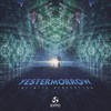 Infinite Perception (Original Mix) - Yestermorrow