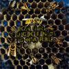 FUCKING SWARM (Explicit) - Khbr
