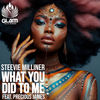 What You Did to Me - Steevie Milliner&Precious James