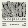 Tudo Passa - Luciano Scheffer