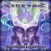 Soil Compactors (Original Mix) - Synergic