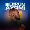 Silekunayomi - Babatunmise