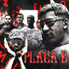 Placa B - MC VN&DJ Mayk
