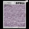 Spell (Inst.) - 할리온&밤비로얄프린스(Bambi)&루디밀러&밴 글릭