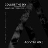 What I See - Collide The Sky&Mike Tedesco&Gil Zambrano&Filip Tuzson