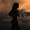 Pantera - Musick&David Deflores&Batarce