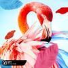 Say It - Scott Rill&Eliine