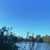 Picknick am See - Salina