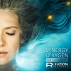 Alive (Radio Edit) - Synergy&Suzy Hopwood