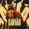 Gavião - MC GMR&Raul GR&MC Menor da L