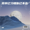 为什么算了（男声版） - 瑶瑶