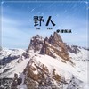 偏向 (英文版) - 辛禄乐队