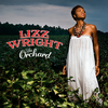 When I Fall (Album Version) - Lizz Wright