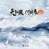天知风何时来 (DJ西西emo版) - 洛先生