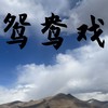 鸳鸯戏 (弹唱版) - 煜坤