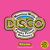 Shame (Radio Edit) - MonsieurWilly&The Funky French Orchestra