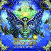 Psychedelic Voices - Sidhartha&Alienn