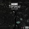 Paranoid (feat. MaDawg) (Explicit) - ALD Records&MADawG