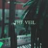 THE VEIL (feat. figgy) (Explicit) - Juju the Rapper&Station North Sound&Figgy