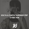 SOLTA A CARTA TIGRINHO FDP É VUK VUK (Explicit) - DJ KS OFICIAL