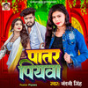 Paatar Piyawa - Nandani Singh