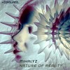 Nature of Reality - Mihalyz