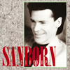 So Far Away (Album Version) - David Sanborn