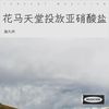 赛博丁真抄袭风波 - 路九州
