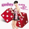 Waking Up In Vegas (Jason Nevins Electrotec Club Remix) - Katy Perry