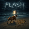 Flash - Walton