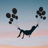 猜不透 - Cr3