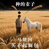 种的麦子买不起面包 (Live) - 马建国