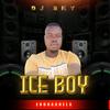 ICE BOY - DJ Sky