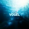Vogel (feat. Ish) (Explicit) - Ziry&Ish