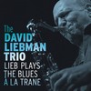 Village Blues - David Liebman&Eric Ineke&Marius Beets&David Liebman Trio