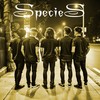 SENJA KOTA TUA - Species